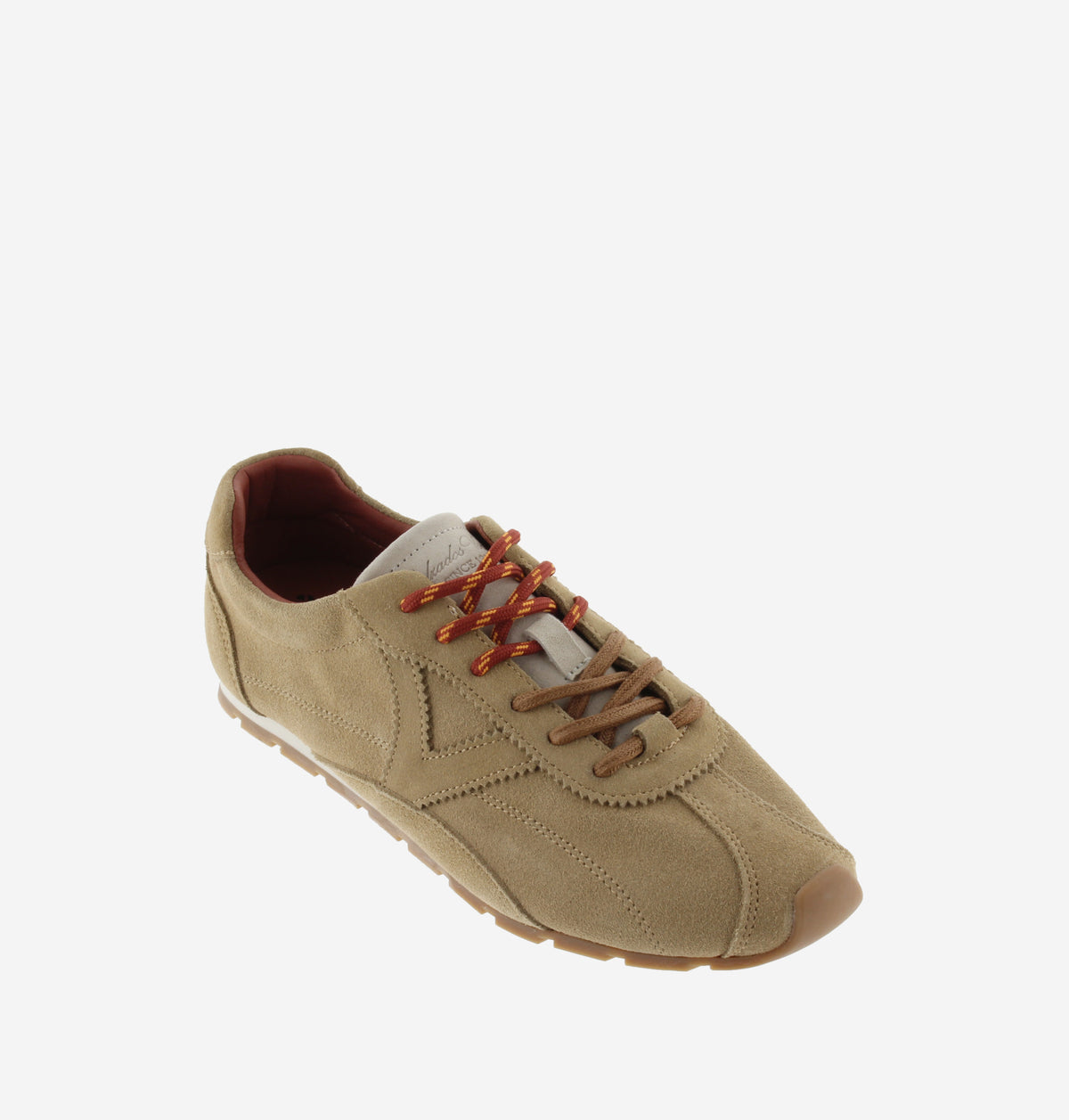 Women's Aster