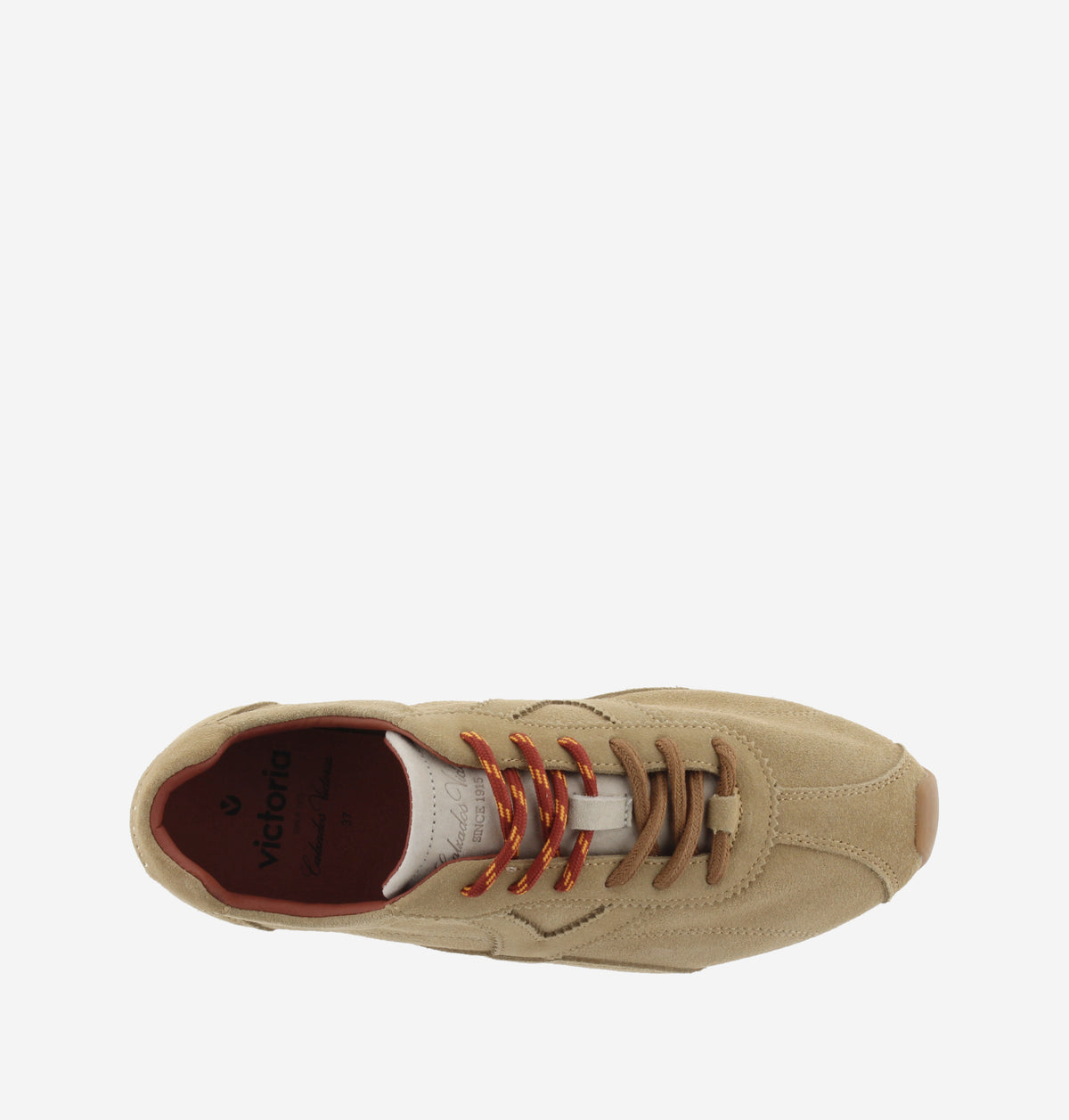 Women's Aster