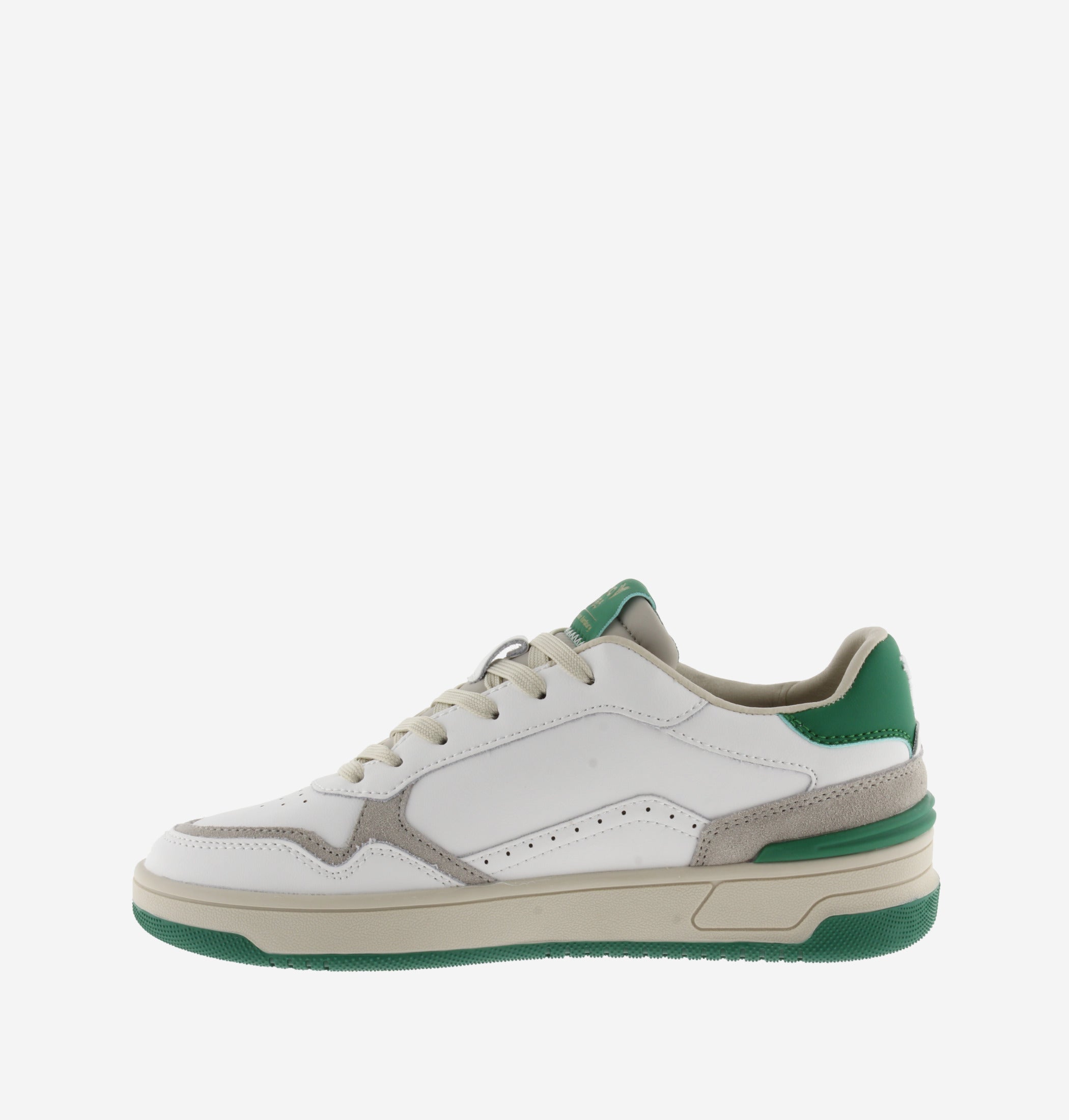 Men's C80