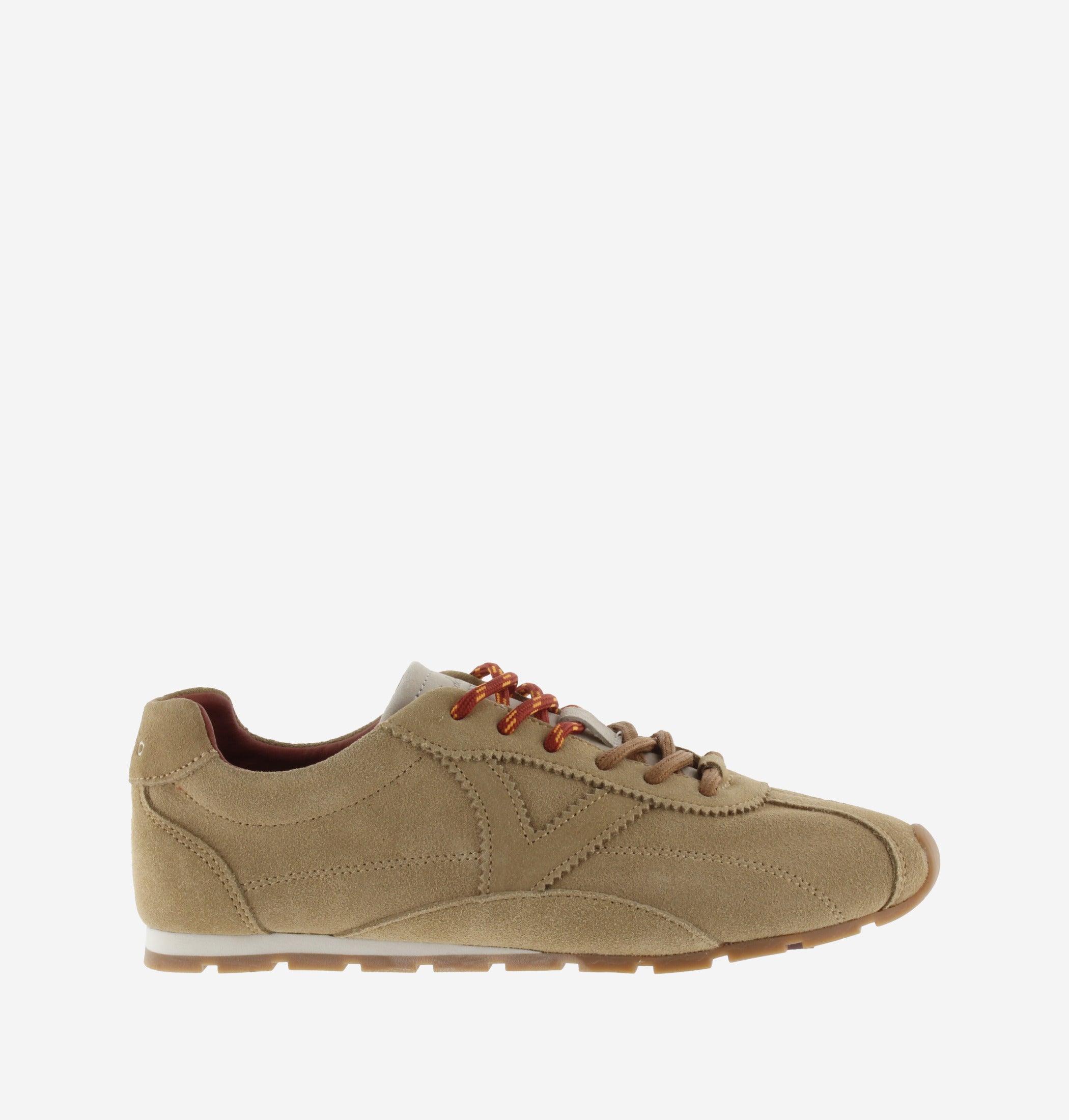 Women's Aster